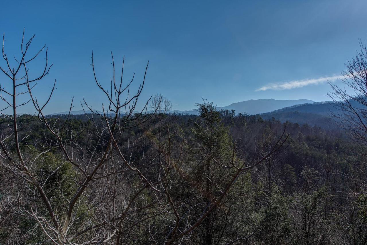 Aspens Envy Apartment Pigeon Forge Bagian luar foto
