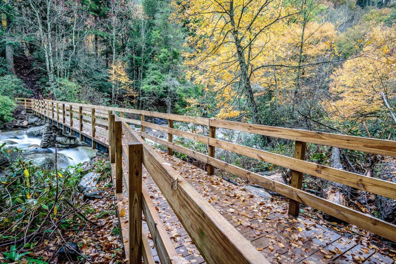 Aspens Envy Apartment Pigeon Forge Bagian luar foto