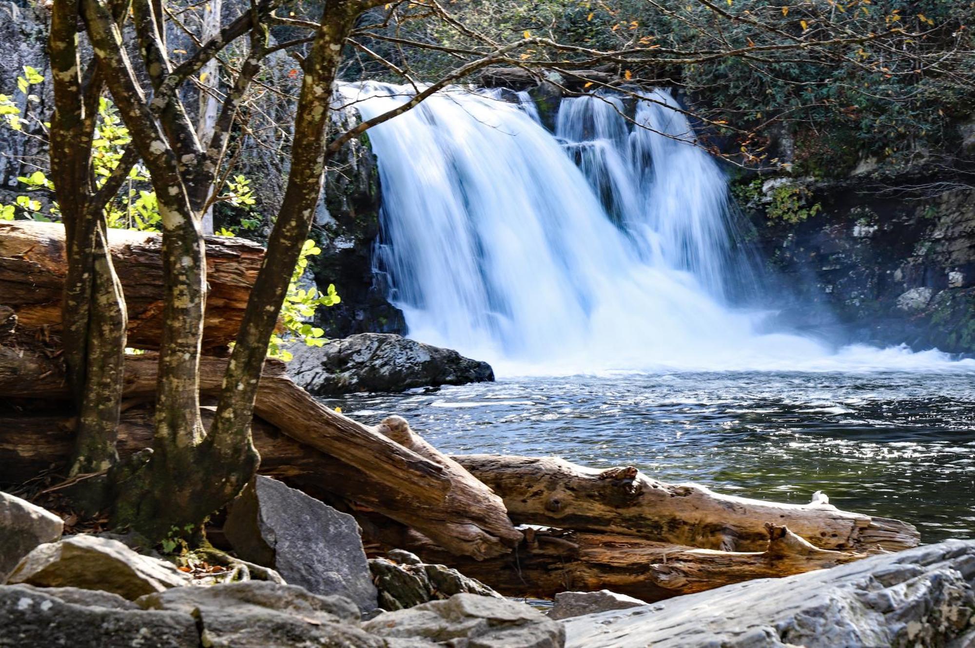 Aspens Envy Apartment Pigeon Forge Bagian luar foto